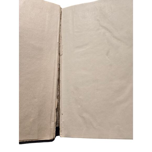 The tragic era by Claude G. Bowers 1929 riverside press - Picture 6 of 8